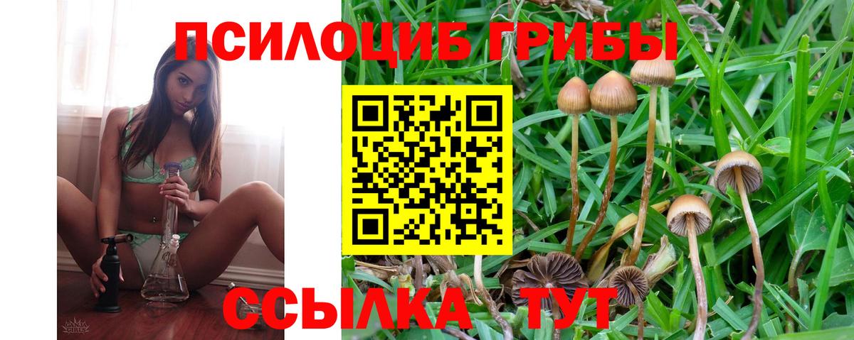 Псилоцибиновые грибы мицелий  Вход с VPN  Псилоцибиновые грибы GOLDEN TEACHER  Мурманск 
