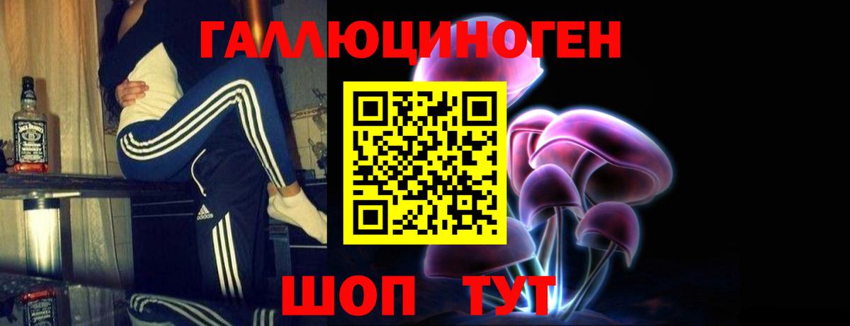 Галлюциногенные грибы Psilocybe Мурманск